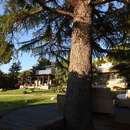 Villa Lolj Con Piscina E Campo Da Tennis *